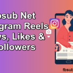 Fbsub Net Instagram Reels Views